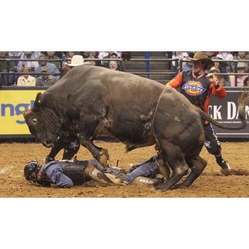 111 Home Decor Professional Bull Riders PBR 5-Silk Art Poster Wall Sicker Decoration Gift