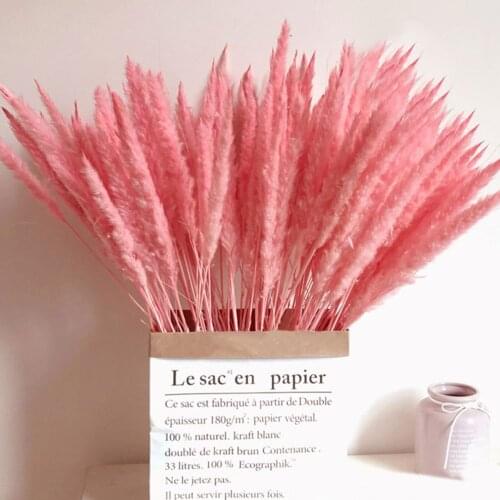 15PCS Home Decor Homehold Decorating Natural Dried Reed Grass DIY Home Wedding Decoration Artificiall Flowers Plants