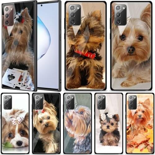 Yorkshire Terrier Dog Tempered Glass For Samsung Galaxy Note 20 Ultra 10 9 8 Plus Lite A70 A50 A40 A30 A20 A10 Phone Case