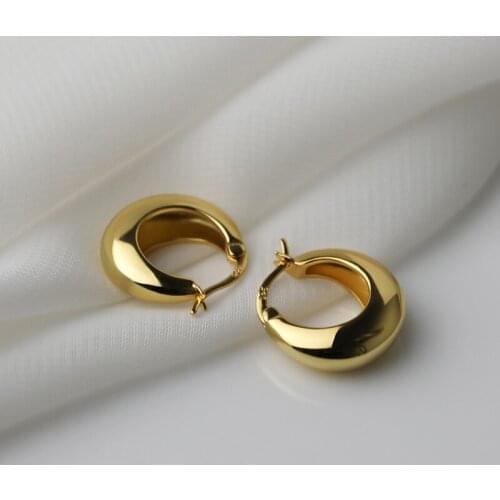 DE111 925 Sterling Silver Chunky Hoop Earrings for Women Punk Ear Jewelry 2021 New Wholesale