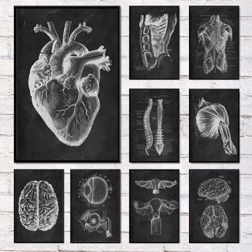 Human Anatomy Poster Wall Art Picture Skeleton Organ Muscular System Canvas Print Body Education Vintage Poster Medical Clinic