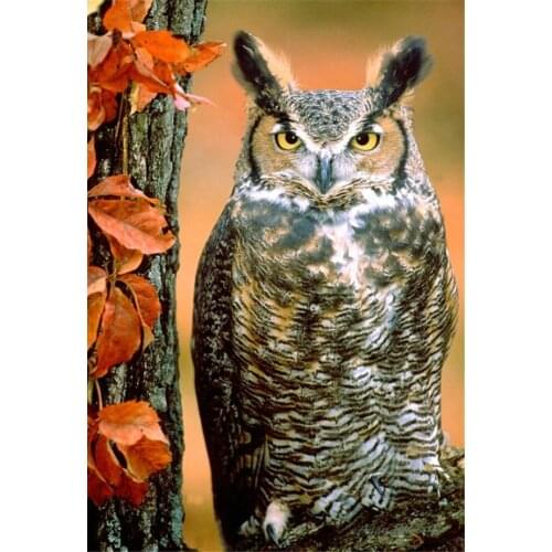 Fashion diamond mosaic home decor Owl picture Diy diamond painting embroidery cross stitch Crystal mosaic handicraft A6454R