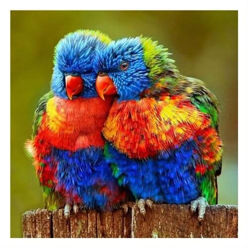 Diamond Painting cross Stitch Parrot Full Drill Round Diamond Embroidery Picture Rhinestone Diamond Mosaic Cartoon Home Decor