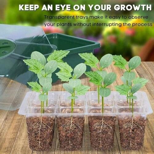 6/12 Cells Hole Plant Seeds Grow Box Gardening Sowing Tray Tools