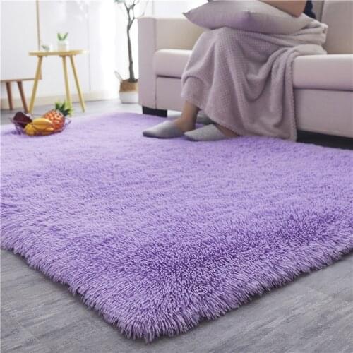 Small Fluffy Carpet Home Decor Long Plush Shaggy Mat Non-Slip Bathroom Mat Sofa Living Bedroom Bedside Mat Balcony Carpets
