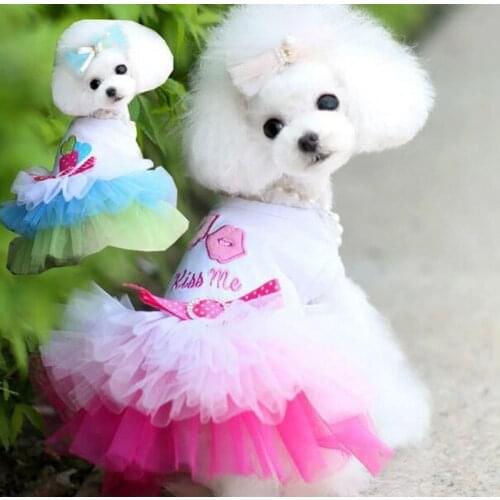 Small Dog Clothes Summer & Spring Pet Dog Cat Wedding Dress Puppy Clothing Polychromatic Gauze Skirt Fashion Pet Clothes