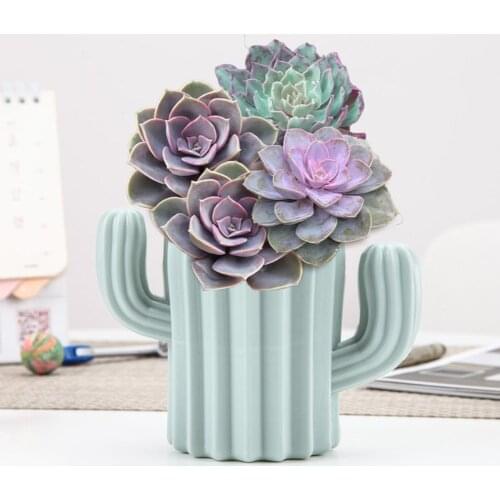 Vase Plastic Cactus Shaped Vase Dried Flower Pot Holder Home Office Desktop Decor Home Decor