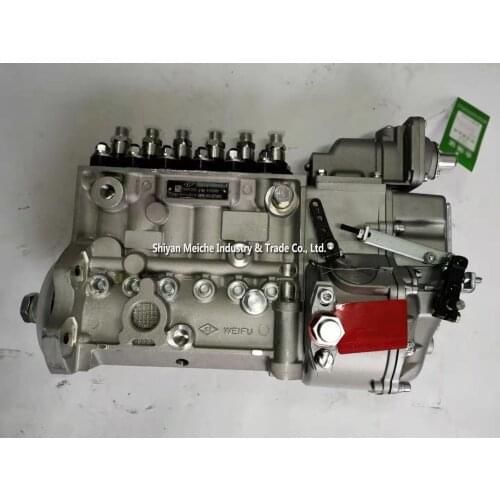 Fuel Injection Pump High Quality Engine Parts 3960918 Diesel Injection Pump