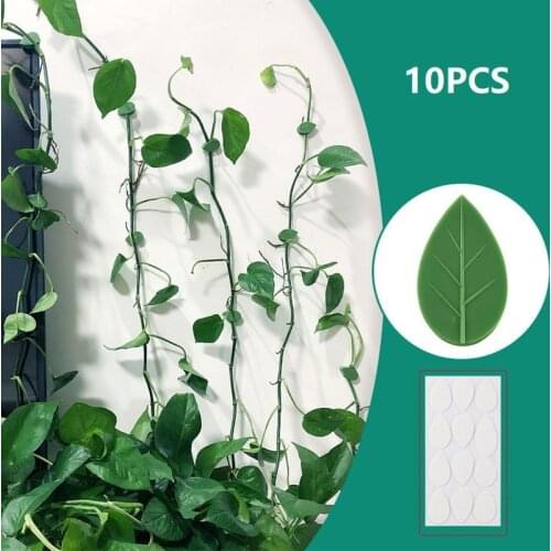 Lvluo Wall Climbing Buckle Seamless Fixator Plant Fixing Device Clamp Plant Climbing Wall Self-adhesive Fastener Lashing Device