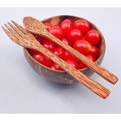 100% natural coconut bowl with Silica gel base cute fruit salad bowl creative rice noddles spaghetti bowl texture tableware