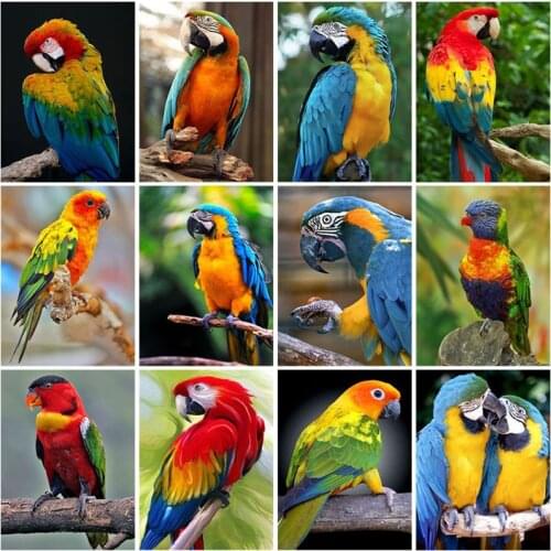 Diy Parrot 5D Diamond Painting Full Square Drill Birds Diamond Embroidery Cross Stitch Handcraft Kit Home Decor Wall Art Gift