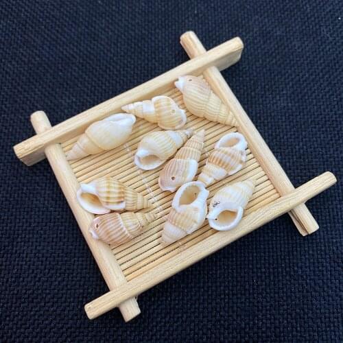 Shell Conch Flower Conch Ornament Necklace Bracelet Micro-landscape Aquarium Crafts Accessories Ornaments 200 Grams A Bag