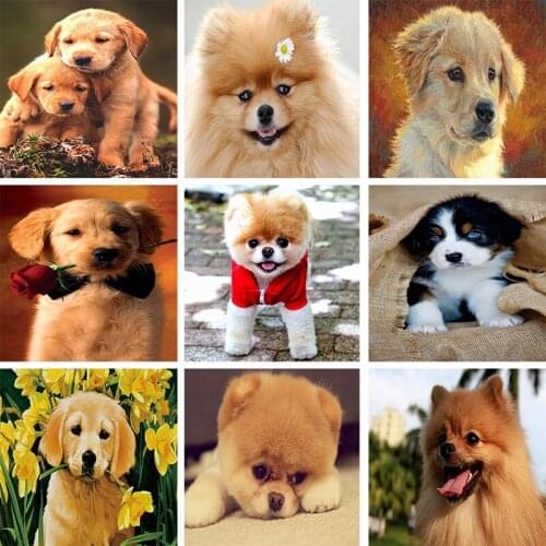 Various Cute Pet Dog Pattern 20X30CM 5D DIY Diamond Painting Full Square Round Diamond Embroidery Sale Mosaic Rhinestone Picture