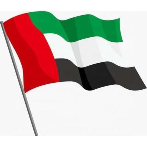 DDP air DDP sea to Dubai/UAE/AE/The United Arab Emirates With Custom Tax shipping agent