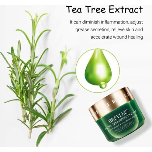 BREYLEE Acne Treatment Cream 20g Facial Essence Acne Scar Pimple Remover Shrink Pores Moisturizing Skin Care Serum