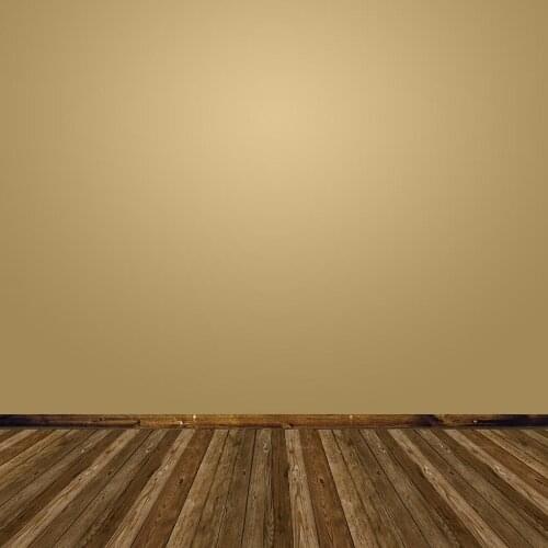 Solid color light brown backgrounds Photography vinyl fashion photo backdrops for photo Studio accessories photophone lv-2280