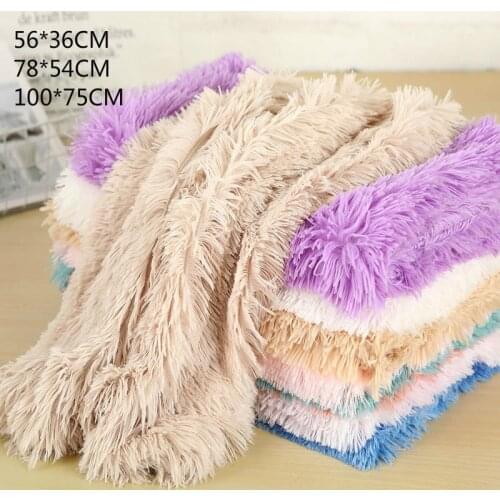 CYAN FEATHER Products For Cats