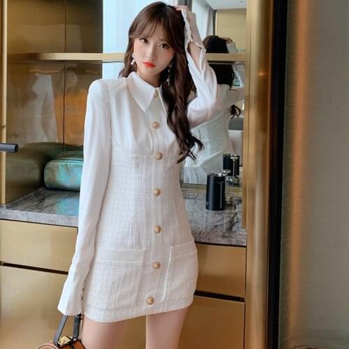 Sheer Mini Casual Dresses for Women 2020 Turn Down Collar Singer Button Long Sleeve Dress Ladies Streetwear Elegant Dress Women