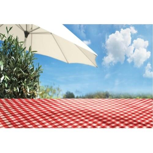 Beautiful Scenery Backdrop Blue Photography Background Photo Booth Studio Decor