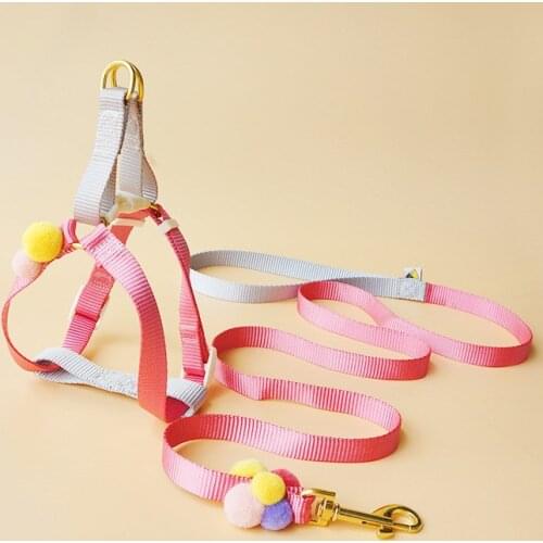 Ins Chihuahua Yorkshire Terrier Small Dog Mini Dog Leash Dog Harness Dog Leads Dog Collars Puppy Dog Acessorios Cat Collar