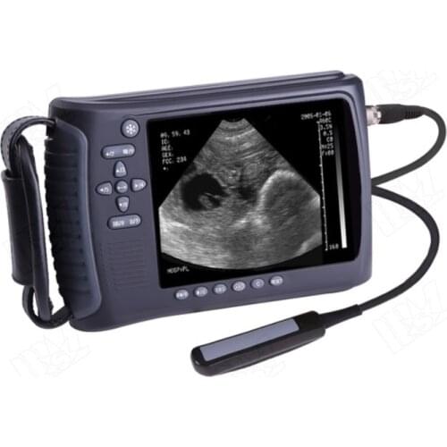 Handheld portable veterinary equipment for cattle / 5" FTT LED ultrasound machine veterinary medicine