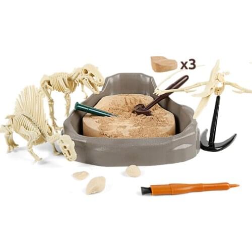 Пособия по биологии YUHUANQUEEN China At AliExpress