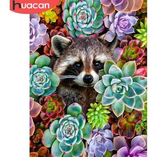 HUACAN 5D Diamond Painting Succulent Plants Full Square Round DIY Diamond Embroidery Cute Raccoon Animla Handmade Gift