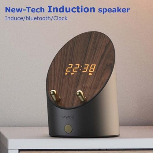 ZHANZHI Portable Speakers