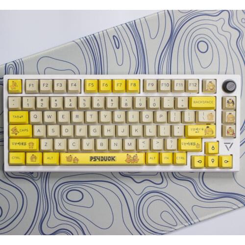Fancytech Computer Hardware And Software