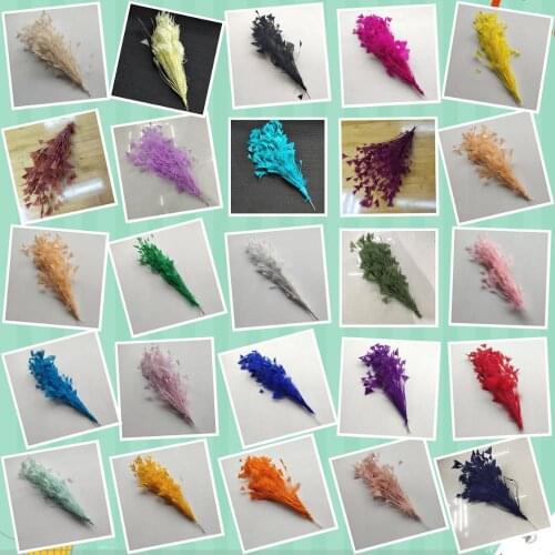 Hot 1pcs Beautiful Natural Goose Feathers 25-30cm/10-12inches Christmas Decoration Clothing Shoes Hat Accessories