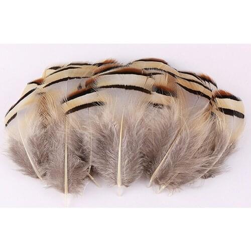 20/100Pcs Natural DIY Pheasant Feathers Plume Crafts Wedding Feather Hair Jewelry Making Handwork Party Plumas Decoration