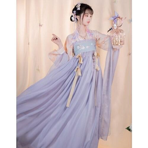 XinHuaEase Hanfu Womens Dresses Chinese Traditional Folk Clothes Tang Dynasty Oriental Ancient Full Set Suit Chest Skirt Purple