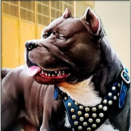 5D Full Diamond Painting Bulldog Cross Stitch Kit Art High Quality Rhinestone Embroidery Animal Wall Sticker Art Mural