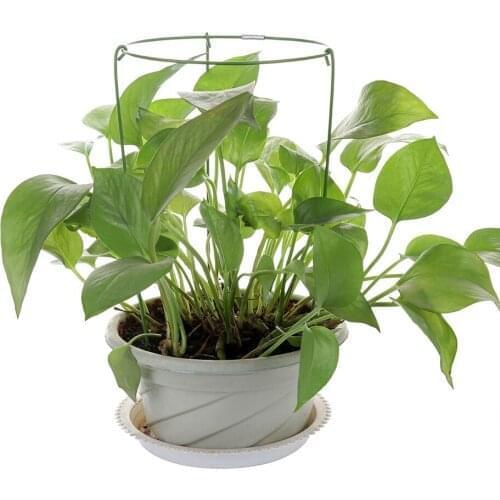 3pcs Climbing Plant Cage Garden Trellis Flowers Stand Rings Vine Cage Tomato Rack Tomato Durable Creative Climbing Support