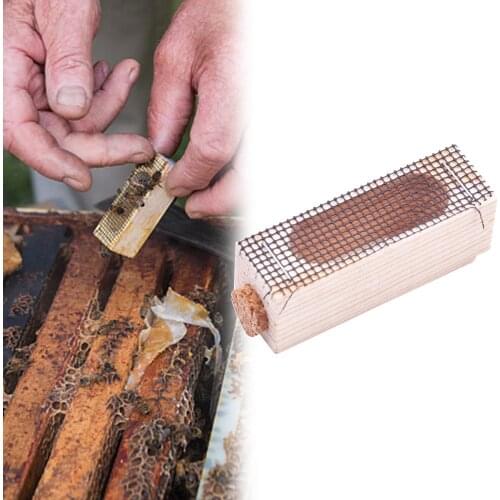 2PCS| Plastic Bee Queen Catcher Colorless Clear Plastic Clip Cage Beekeeping Equipment Tool Apiculture implement