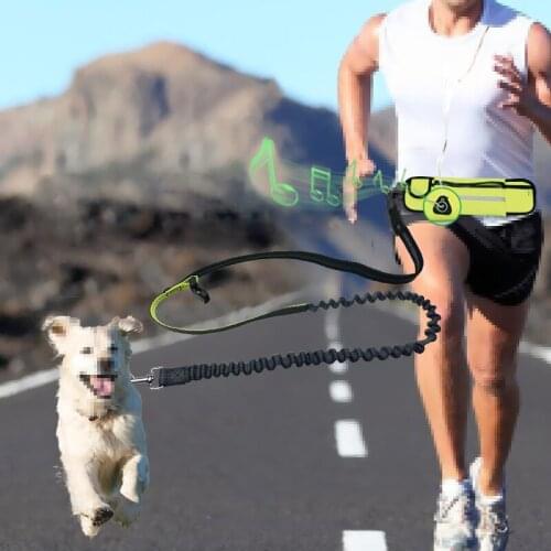 Running Dog nylon Leash Set Collar Hands Free Dog Leash Reflective Pet Elastic Belt Puppy Dog Harness Leash Pet Products 201