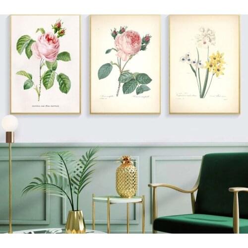 Modern Canvas Painting Vintage Posters and Prints French Plant Illustrations Botany Wall Art Pictures Decor Cuadros