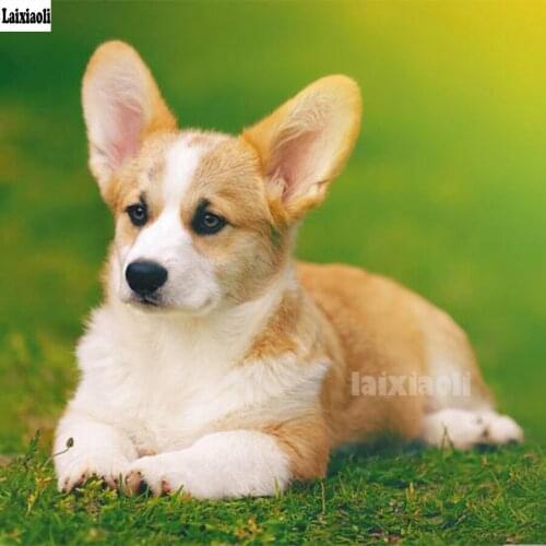 DIY Diamond Painting 5d cross stitch Welsh Corgi Dog Full square/round drill 3d Diamond Embroidery Mosaic Picture of rhinestone