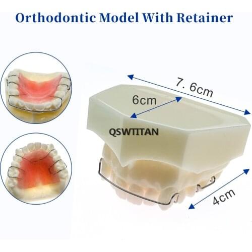 Dental Teeth Study Teach Model Hawley Retainer Model 3007 01