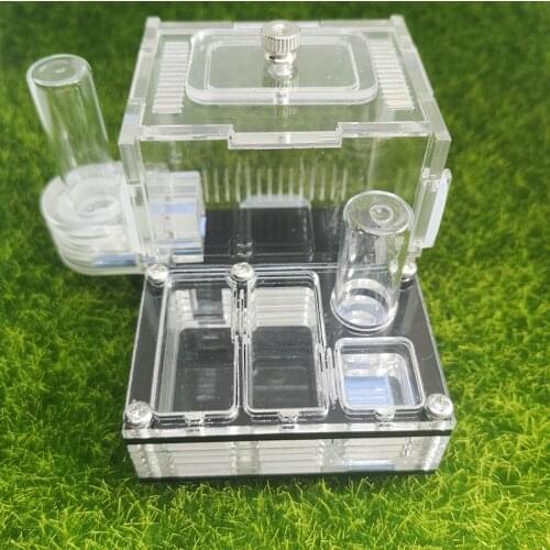 Climbing Pet Ant Farm Acrylic Plane Nest Ant Nest Ant Workshop Horizontal Stripes Hunting Sickle Ant Nest