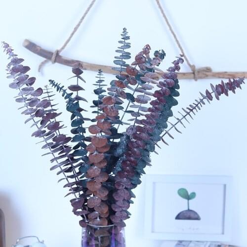 5pcs Natural Eucalyptus Leaves Branches Stems Dried Flower Real Palnt Ornament For Diy Nordic Home Party Decoration Supplies