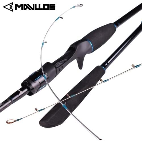 Mavllos Swirling Squid Octopus Fishing Rod Hanchi Casting Rod 2 Section L.W. 20-80g Fast Action Saltwater Boat Jigging Rod Pole