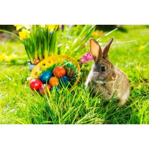 Lawn Rabbit Easter Fairy Backdrop Photographic Background Fairy Backdrop E190127A50