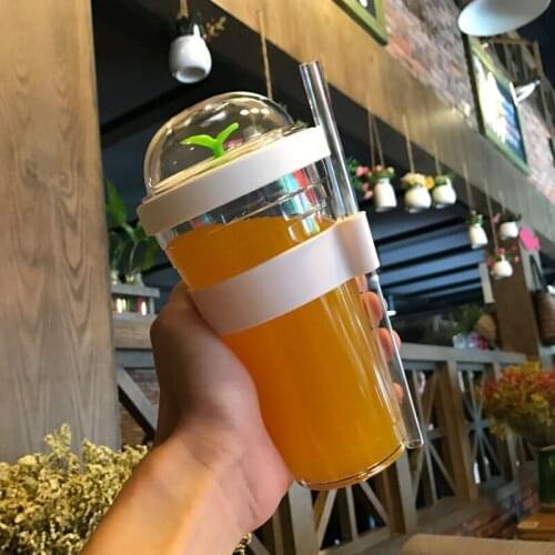 Summer Sapling Design 480ML Plastic Water Bottle With Straw Portable Space BPA FREE