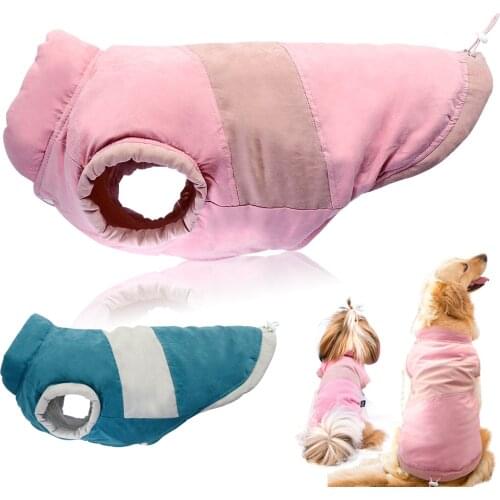 Жилетки для собак Didog China At AliExpress