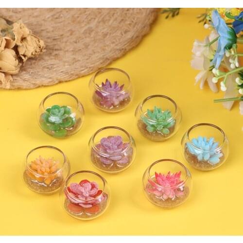 1 Pc 1:12 Dollhouse Miniature Glass Jar Succulent Plants In Pot Furniture Home Decor 26mm*18mm