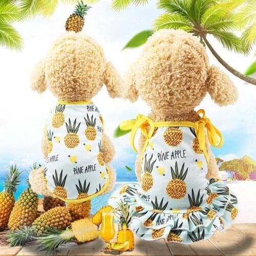 Pet Dog Clothes Small Dog Fruit Print Dress Puppy Pet Dresses T-shirt Vest Couple Wear Spring Summer Elastic Band Dog Clothes