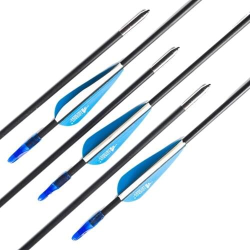 12pcs Archery 6MM Fiberglass Arrow for Compound Bow Recurve Bow Target Practice Arrow Hunting 26/28/30inch