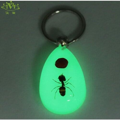Luminous Keyring Large Size Natural Red Bean Ant Keychain Glowing In The Dark Keyring Insect Key Holder Birthday Souvenir Gifts