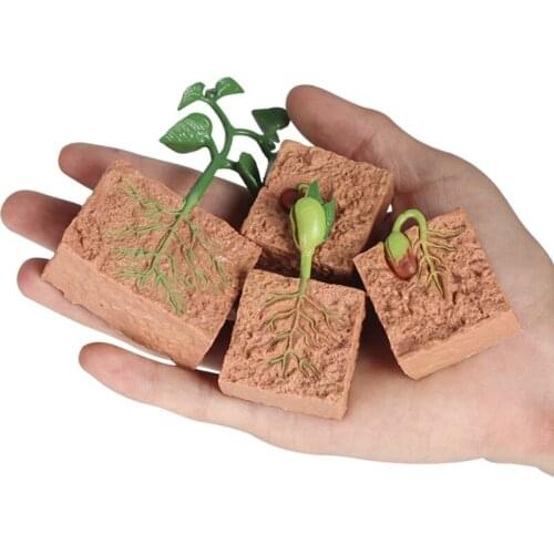 New PVC Simulation Insect Plant Growth Seed Solid Soybean Toy Figures Mini Figures Toys Science Education For Baby Early Toys